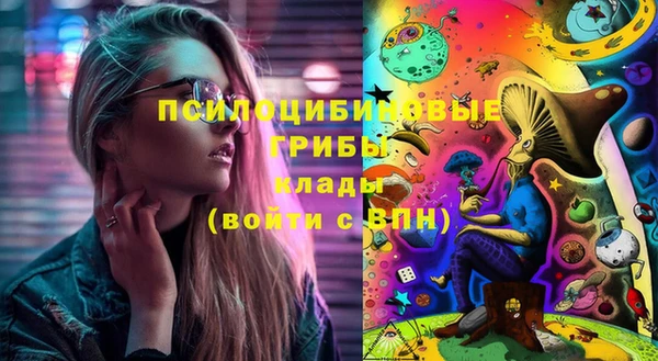 гидропоника Алексин