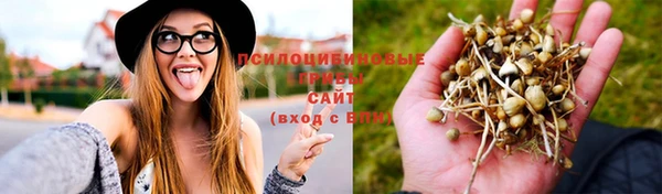 мяу мяу мука Алексеевка