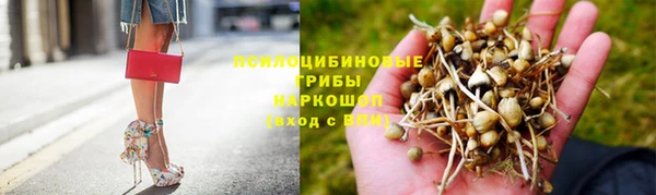 гидропоника Алексин