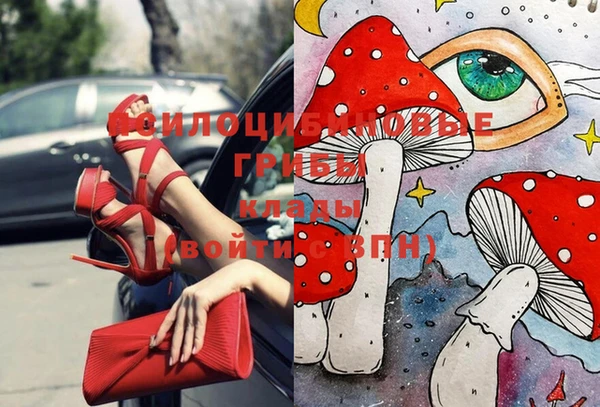 гидропоника Алексин